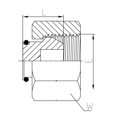 Гидравлические адаптеры Заглушка с накидной гайкой (RST/9B)